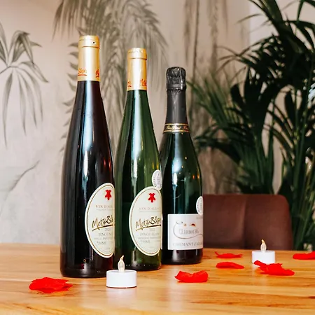 L'Oasis Tropicale, Jacuzzi, Love Room Roppenheim Buitenkant foto